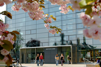 [University of Leicester David Wilson Library]