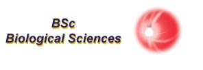 [biol. sciences logo]