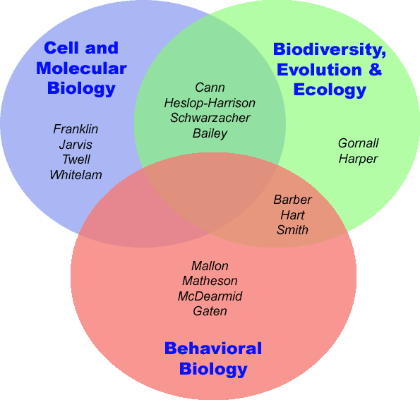 diagram of research areas