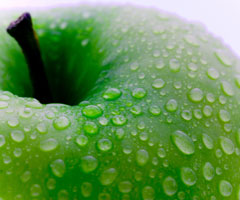 General Catering Images