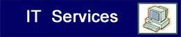 [IT Services]