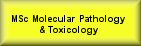 Masters Course in Molecular Pathology and Toxicology