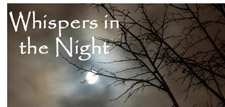 Whispers in the Night