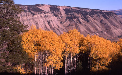 Yellowstone Park