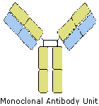 Monoclonal Antibody Unit
