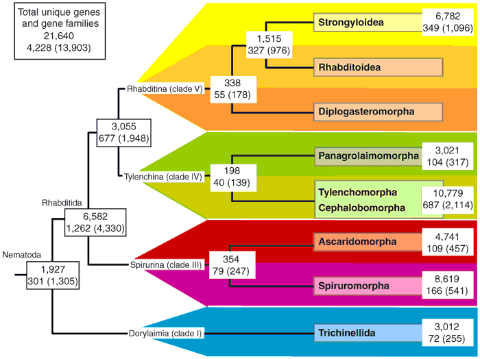 Bioinformatics