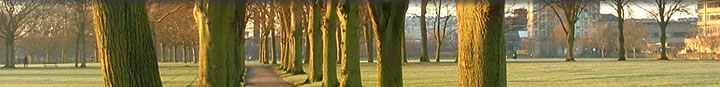 path through trees on Victoria Park