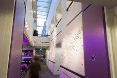 gallery at The Richard Attenborough Centre