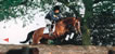 [photo: horse jumping]